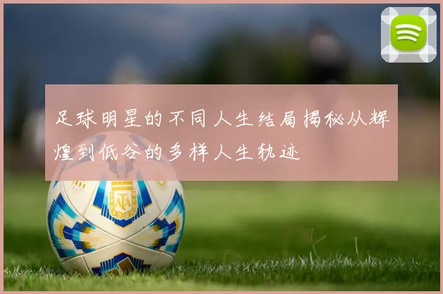 足球明星的不同人生结局揭秘从辉煌到低谷的多样人生轨迹