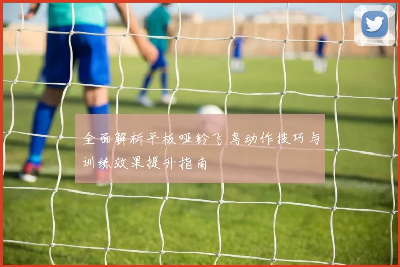全面解析平板哑铃飞鸟动作技巧与训练效果提升指南